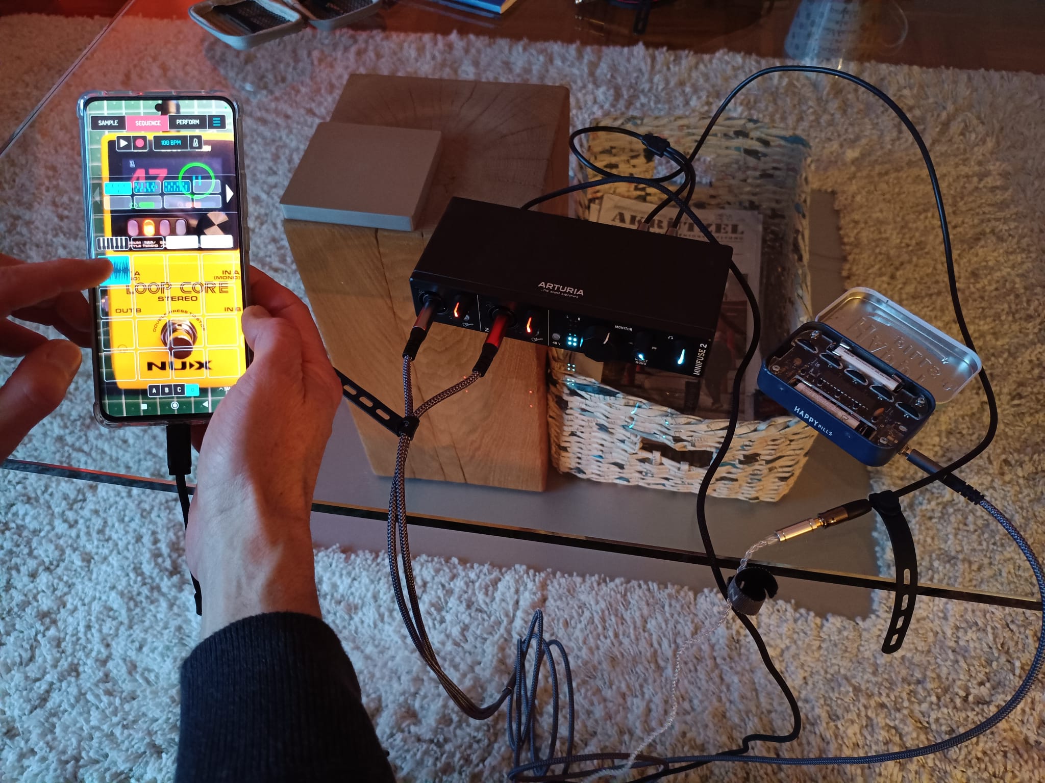 Koala Sampler - Minty Synth + Arturia Mini Fuse 2 -2