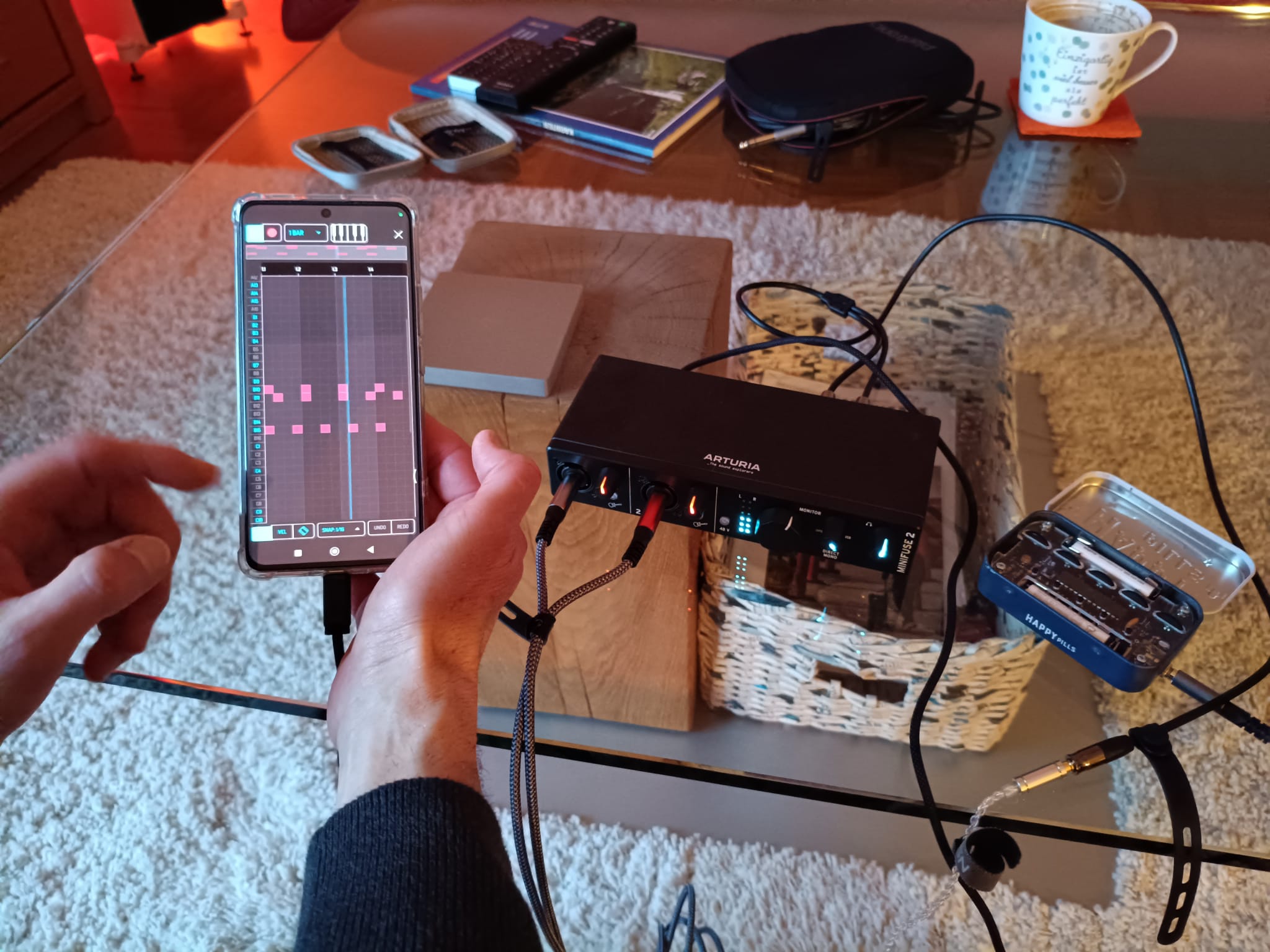 Koala Sampler - Minty Synth + Arturia Mini Fuse 2 -1